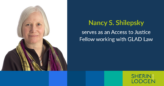 Partner Nancy S. Shilepsky serves as an Access to Justice Fellow working with GLAD Law